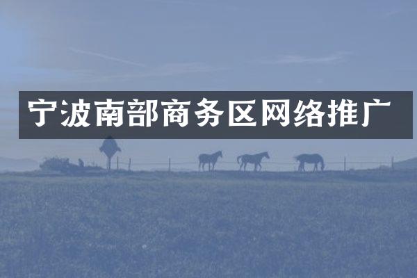 宁波南部商务区网络推广