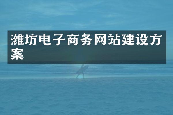 潍坊电子商务网站建设方案
