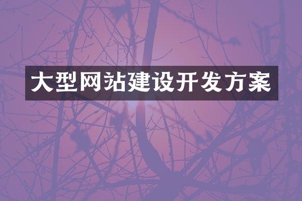 大型网站建设开发方案