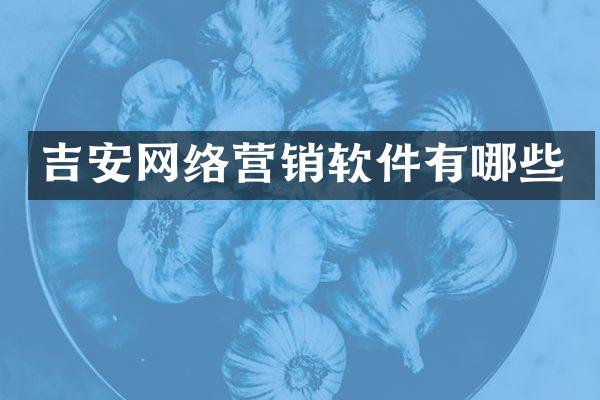 吉安网络营销软件有哪些