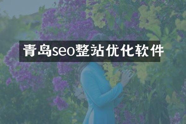 青岛seo整站优化软件