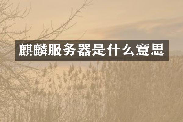 麒麟服务器是什么意思