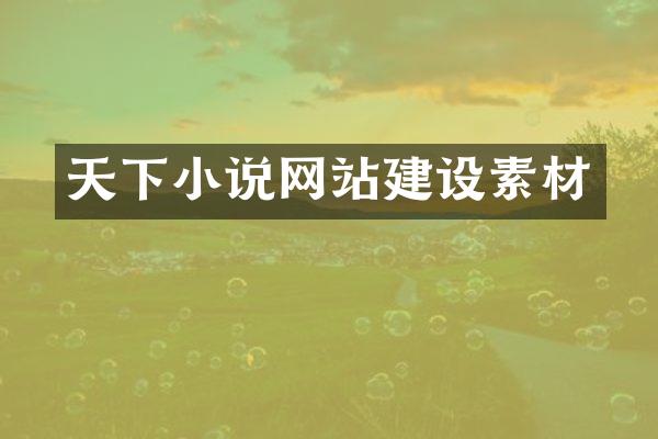 天下小说网站建设素材
