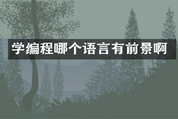 学编程哪个语言有前景啊