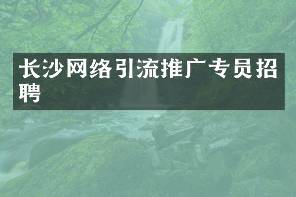 长沙网络引流推广专员招聘