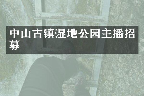 中山古镇湿地公园主播招募