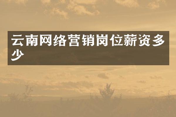 云南网络营销岗位薪资多少