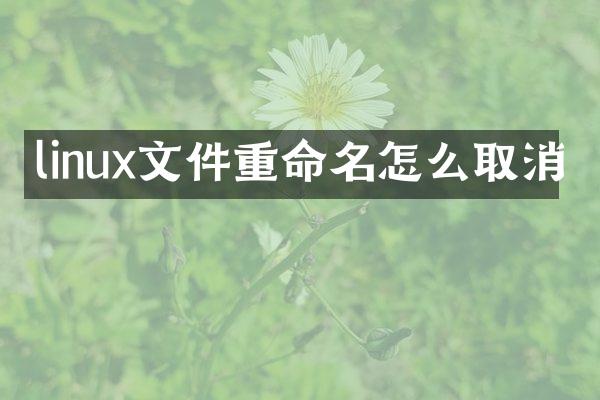 linux文件重命名怎么取消