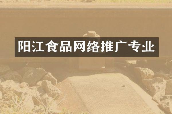 阳江食品网络推广专业
