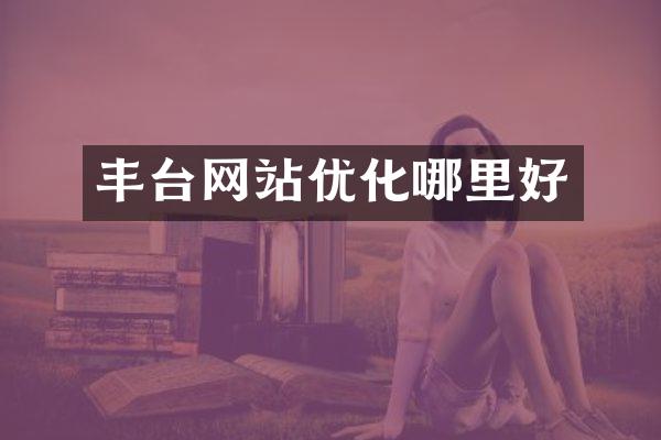 丰台网站优化哪里好