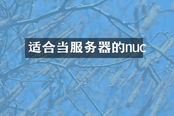 适合当服务器的nuc