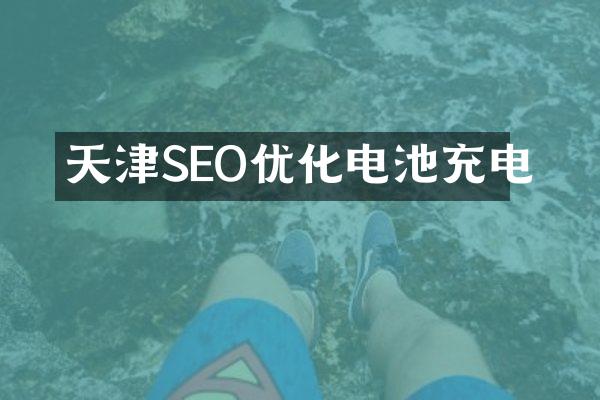 天津SEO优化电池充电