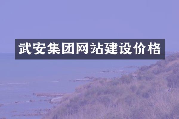 武安集团网站建设价格
