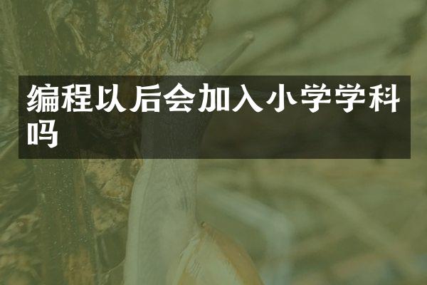 编程以后会加入小学学科吗