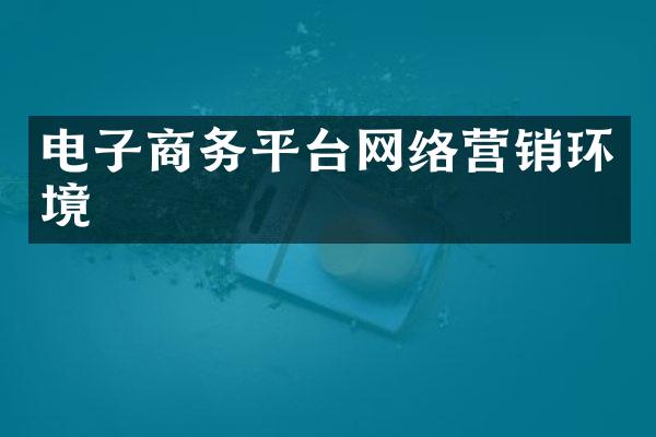 电子商务平台网络营销环境