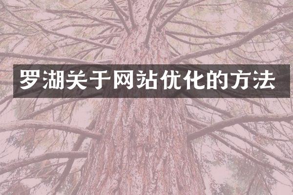 罗湖关于网站优化的方法