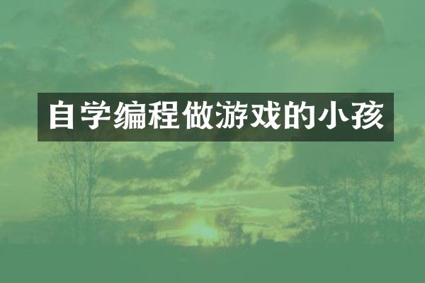 自学编程做游戏的小孩