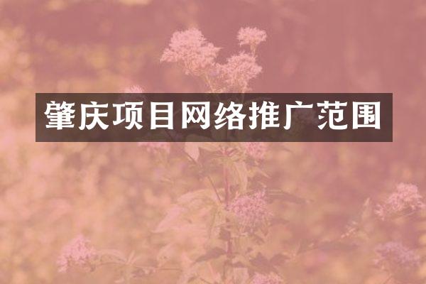 肇庆项目网络推广范围