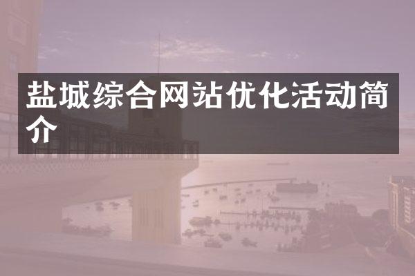 盐城综合网站优化活动简介