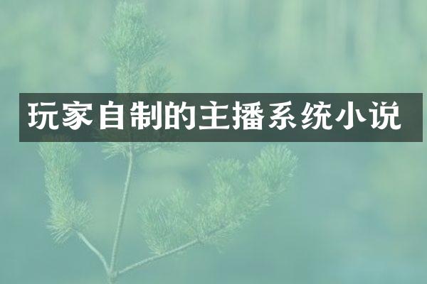 玩家自制的主播系统小说