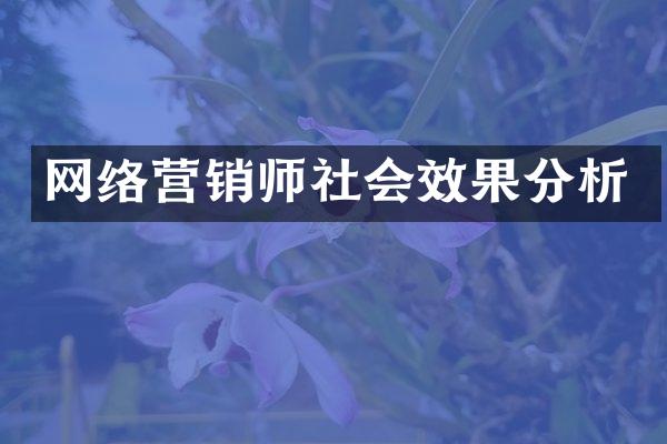 网络营销师社会效果分析