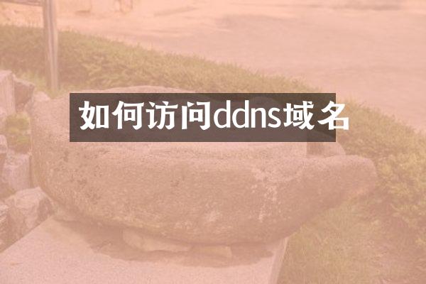 如何访问ddns域名