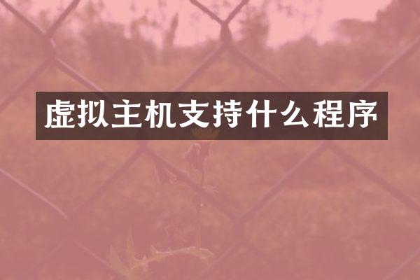 虚拟主机支持什么程序