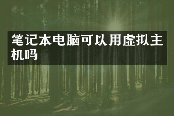 笔记本电脑可以用虚拟主机吗