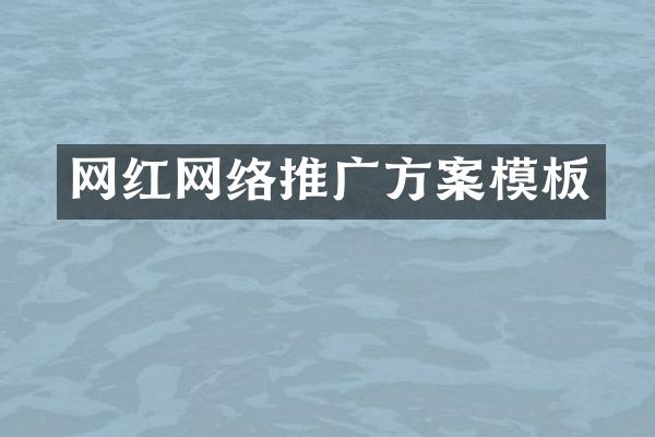 网红网络推广方案模板