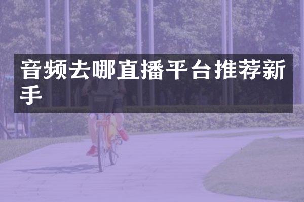 音频去哪直播平台推荐新手