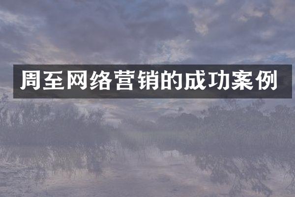 周至网络营销的成功案例