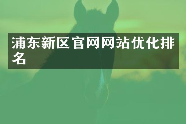 浦东新区官网网站优化排名