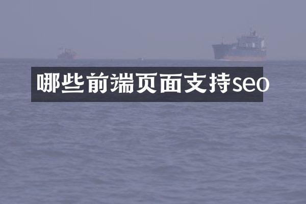 哪些前端页面支持seo