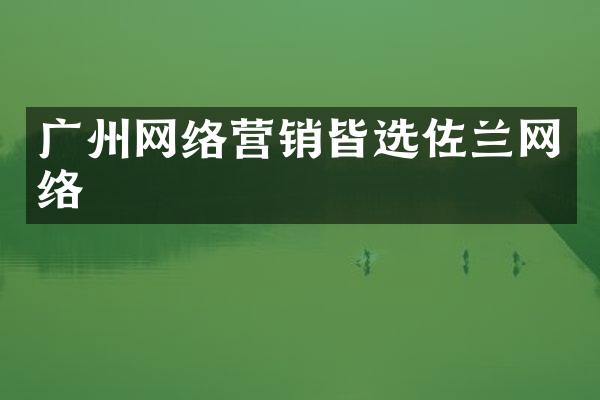 广州网络营销皆选佐兰网络