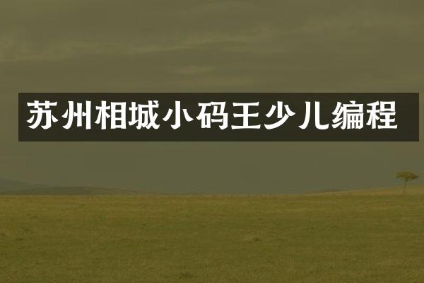 苏州相城小码王少儿编程