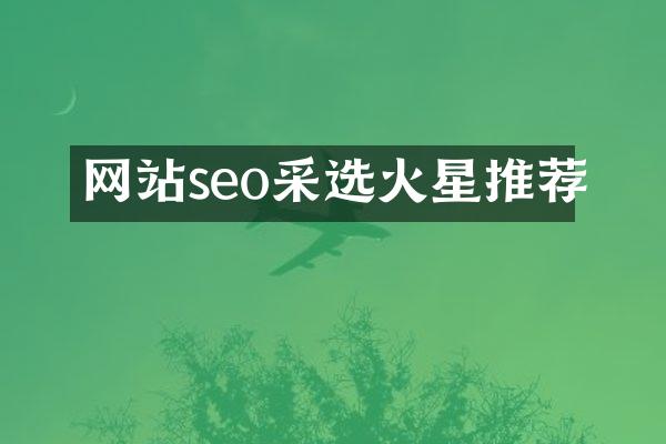 网站seo采选火星推荐
