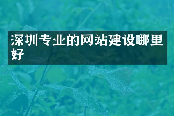 深圳专业的网站建设哪里好
