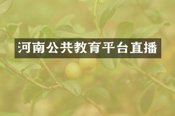 河南公共教育平台直播