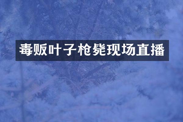毒贩叶子枪毙现场直播