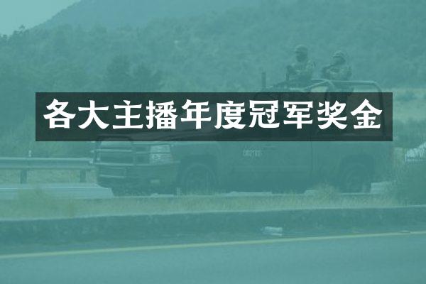 各大主播年度冠军奖金