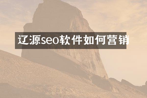 辽源seo软件如何营销