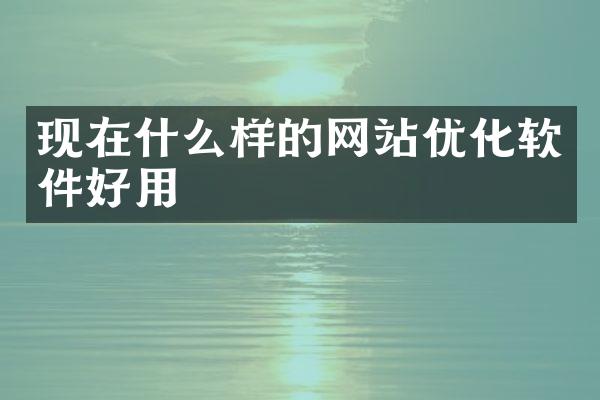 现在什么样的网站优化软件好用