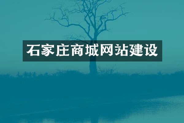石家庄商城网站建设