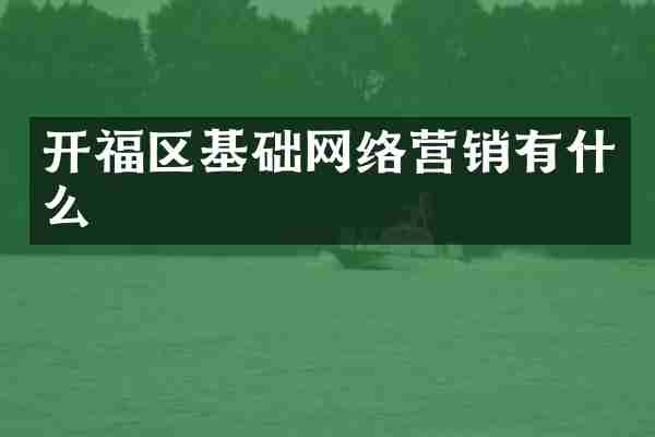 开福区基础网络营销有什么