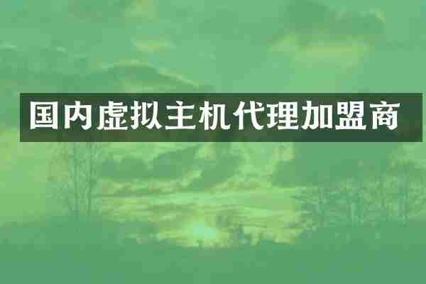 国内虚拟主机代理加盟商