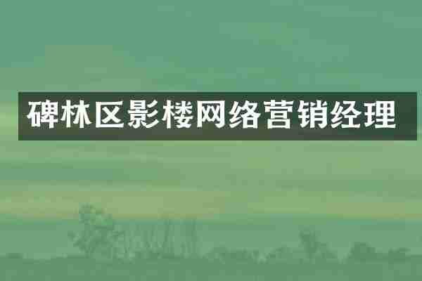 碑林区影楼网络营销经理
