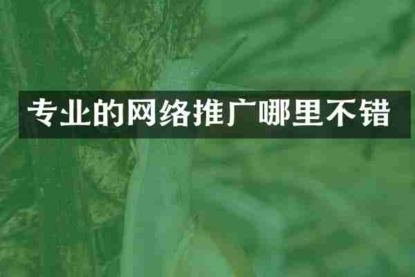 专业的网络推广哪里不错