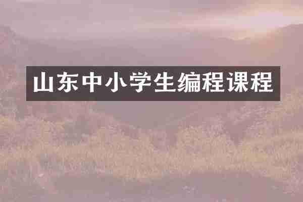 山东中小学生编程课程