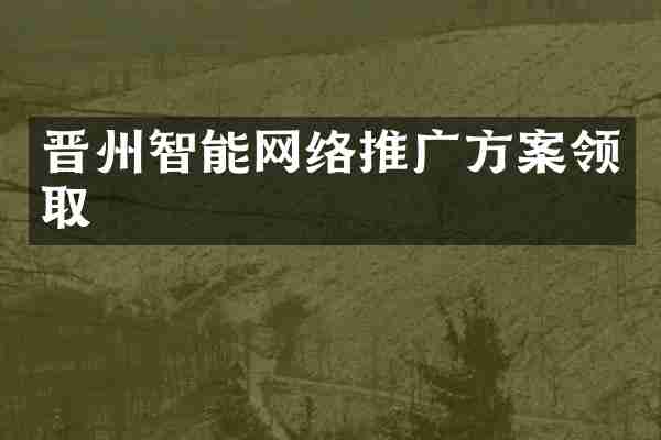 晋州智能网络推广方案领取