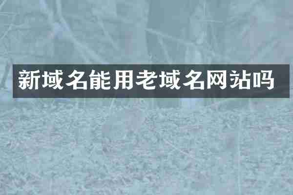 新域名能用老域名网站吗